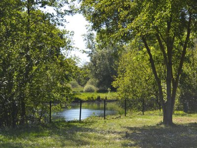camping Des Cygnes photo 7