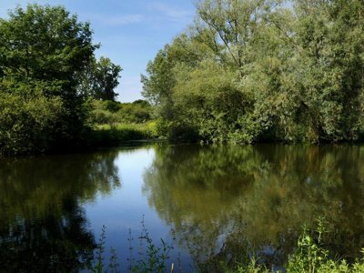 camping Des Cygnes photo 8