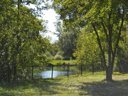camping Des Cygnes photo 7