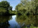 camping Des Cygnes photo 8