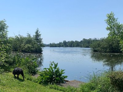 camping Des Rosiers photo 1