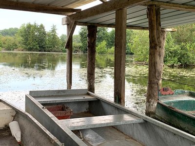 Cliquez pour découvrir toutes les photos de l'ÉTABLISSEMENT ! camping Des Rosiers photo 6
