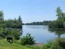 Camping Pas Cher vous présente avec son site Officiel campingpascher.fr, le Camping Des Rosiers classé 2 étoiles, situé sur la commune de Curlu dans le département Somme (Picardie) en France. Le camping Des Rosiers, vous présente un hébergement de type mobil-home. Le camping Des Rosiers vous propose du mercredi 17 juin au mercredi 24 juin 2026 avec un DÉPART DEMAIN pour 7 nuits à 440€. Cette location propose 37 dates différentes pour réserver votre séjour. Découvrez également les 1 autres gammes d'hébergements du camping. Étang, Aire de jeux enfants, Ping-pong,... En savoir plus : cliquez-ICI.