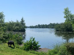 Camping Pas Cher vous présente avec son site Officiel campingpascher.fr, le Camping Des Rosiers classé 2 étoiles, situé sur la commune de Curlu dans le département Somme (Picardie) en France. Le camping Des Rosiers, vous présente un hébergement de type mobil-home. Le camping Des Rosiers vous propose du mercredi 17 juin au mercredi 24 juin 2026 avec un DÉPART DEMAIN pour 7 nuits à 440€. Cette location propose 37 dates différentes pour réserver votre séjour. Découvrez également les 1 autres gammes d'hébergements du camping. Étang, Aire de jeux enfants, Ping-pong,... En savoir plus : cliquez-ICI.