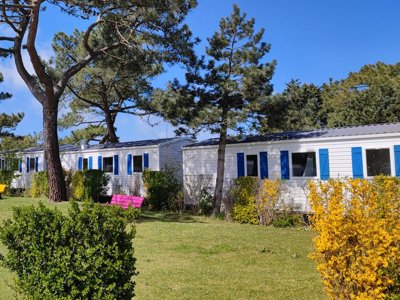 Cliquez pour découvrir toutes les photos de l'ÉTABLISSEMENT ! camping Paradis Les Galets De La Mollière photo 13