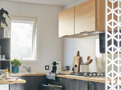Cliquez pour découvrir toutes les photos de l'HÉBERGEMENT ! mobil-home - Flower Les Aubepines photo 2