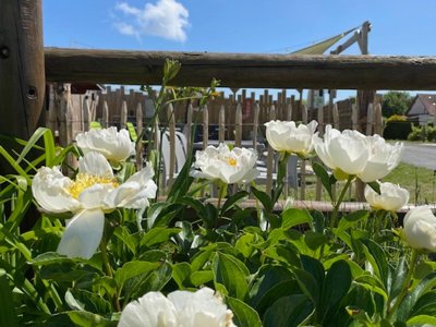 camping Le Clos Des Genêts photo 4