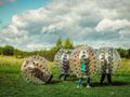 Cliquez pour découvrir toutes les photos de l'ÉTABLISSEMENT ! établissement De La Route Fleurie photo 4