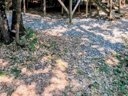 Cliquez pour découvrir toutes les photos de l'HÉBERGEMENT ! tente en toile et bois - camping Flower Jas Du Moine photo 4
