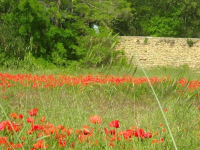 Cliquez pour découvrir toutes les photos de l'ÉTABLISSEMENT ! camping Les Hauts D'Albas photo 24