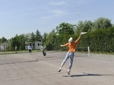 Cliquez pour découvrir toutes les photos de l'ÉTABLISSEMENT ! camping Domaine De La Noue Des Rois photo 16