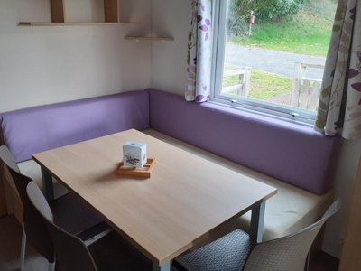 mobil-home - Domaine De Kerelly photo 8