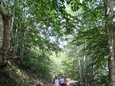 Cliquez pour découvrir toutes les photos de l'ÉTABLISSEMENT ! camping Ushuaïa Villages - Domaine De Ravel photo 5