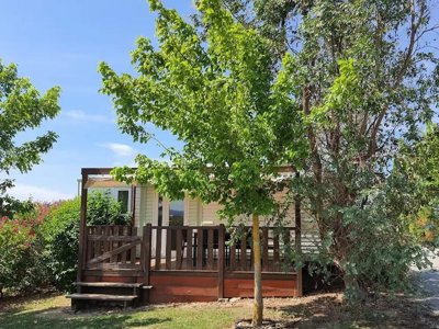 Cliquez pour découvrir toutes les photos de l'ÉTABLISSEMENT ! camping L'Escale Occitane photo 10