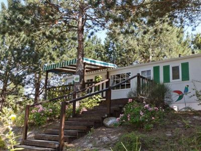 Cliquez pour découvrir toutes les photos de l'ÉTABLISSEMENT ! camping Domaine De L'Abri Côtier photo 19