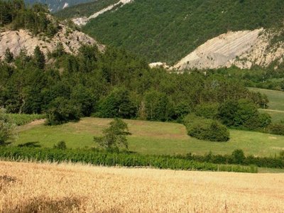 Cliquez pour découvrir toutes les photos de l'ÉTABLISSEMENT ! camping Municipal De Justin photo 22