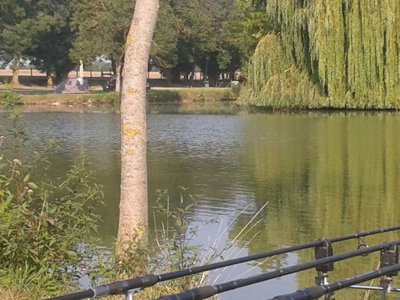 établissement L'Ile Verte photo 24