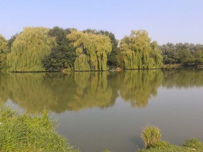 établissement L'Ile Verte photo 26