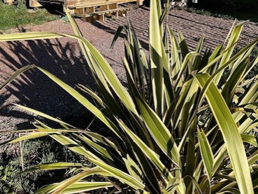 Camping Pas Cher vous présente avec son site Officiel campingpascher.fr, le Camping L'Ile Verte classé 3 étoiles, situé sur la commune de Genouille dans le département Charente-maritime (Poitou-charentes) en France. Le camping L'Ile Verte vous propose un hébergement de type mobil-home avec climatisation. L'établissement vous propose 4 autres types d'hébergements. Découvrez tous nos séjours à petits prix dans la commune et aux alentours de Genouille du département : Charente-maritime (Poitou-charentes). Les Avis clients pour le Camping L'Ile Verte sont excellents avec une note moyenne de 8 sur 10. MerÉtang, Lagon, Parc aquatique, Animations familiales, Aire de jeux enfants, Pétanque, Structure gonflable enfants, Trampoline, Bar, Dépôt de pain, Snack/Bar, Épicerie,... En savoir plus : cliquez-ICI.