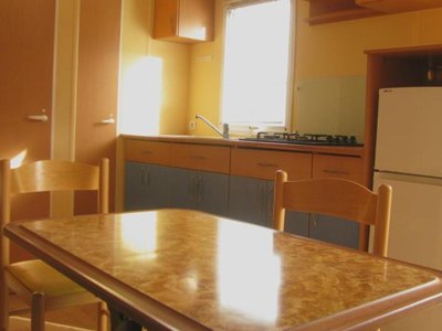 mobil-home - Naturiste Le Champ De Guiral photo 3