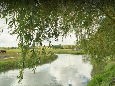 camping Le Clos Du Moulin photo 1