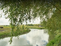Camping Pas Cher vous présente avec son site Officiel campingpascher.fr, le Camping Le Clos Du Moulin classé 2 étoiles, situé sur la commune de Graye Sur Mer dans le département Calvados (Basse Normandie) en France. Le camping Le Clos Du Moulin, vous présente un hébergement de type maison de campagne de 24 m² pour 1 personne et télévision. Le camping Le Clos Du Moulin vous propose du sam. 05 septembre au sam. 12 septembre 2026 pour 7 nuits à 500€. Cette location propose 18 dates différentes pour réserver votre séjour. Découvrez également les 5 autres gammes d'hébergements du camping. Les Avis clients pour le Camping Le Clos Du Moulin sont de 7 sur 10. Centre équestre, Court de tennis, Ping-pong, Pétanque, Randonnée,... En savoir plus : cliquez-ICI.