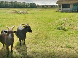 Camping Pas Cher vous présente avec son site Officiel campingpascher.fr, le Camping Le Clos Du Moulin classé 2 étoiles, situé sur la commune de Graye Sur Mer dans le département Calvados (Basse Normandie) en France. Le camping Le Clos Du Moulin vous propose un hébergement de type maison de campagne. L'établissement vous propose 4 autres types d'hébergements. Découvrez tous nos séjours à petits prix dans la commune et aux alentours de Graye Sur Mer du département : Calvados (Basse Normandie). Les Avis clients pour le Camping Le Clos Du Moulin sont de 7 sur 10. Centre équestre, Court de tennis, Ping-pong, Pétanque, Randonnée,... En savoir plus : cliquez-ICI.