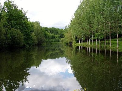 camping Le Faucon D'Or photo 11