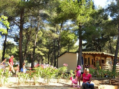 Cliquez pour découvrir toutes les photos de l'ÉTABLISSEMENT ! camping AEC Vacances Les Dauphins photo 4