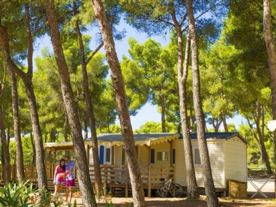 Cliquez pour découvrir toutes les photos de l'ÉTABLISSEMENT ! camping AEC Vacances Les Dauphins photo 5