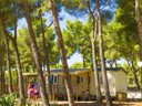 Cliquez pour découvrir toutes les photos de l'ÉTABLISSEMENT ! camping AEC Vacances Les Dauphins photo 5