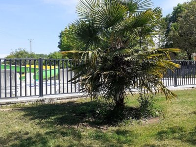 camping Le Convivial photo 6