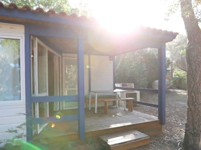 chalet - U Pinarellu photo 2