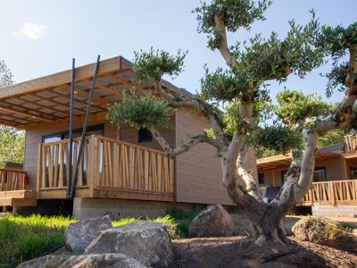 chalet - U Pinarellu photo 2