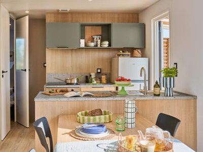 Cliquez pour découvrir toutes les photos de l'HÉBERGEMENT ! mobil-home - U Pinarellu photo 3
