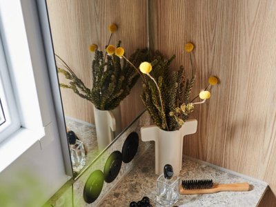 Cliquez pour découvrir toutes les photos de l'HÉBERGEMENT ! mobil-home - U Pinarellu photo 4