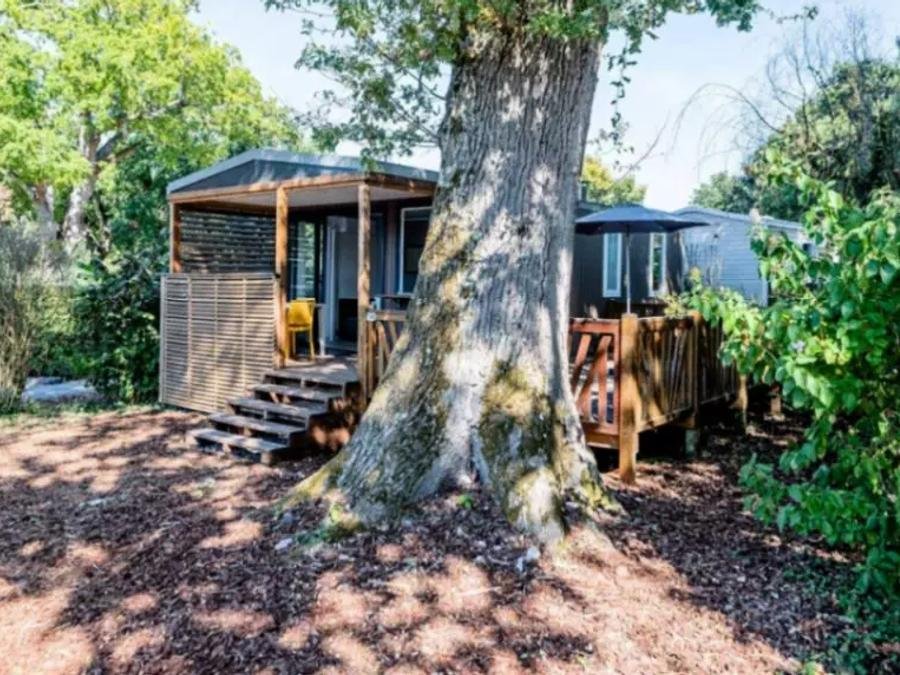 Camping Pas Cher vous présente avec son site Officiel campingpascher.fr, le Camping Domaine Les Oréades classé 5 étoiles, situé sur la commune de Sanguinet dans le département Landes (Aquitaine) en France. Le camping Domaine Les Oréades, vous présente un hébergement de type mobil-home de 37 m² avec climatisation et télévision. Le camping Domaine Les Oréades vous propose du dimanche 20 septembre au dimanche 27 septembre 2026 pour 7 nuits à 309€. Cette location propose 36 dates différentes pour réserver votre séjour. Découvrez également les 16 autres gammes d'hébergements du camping. Les Avis clients pour le Camping Domaine Les Oréades sont excellents avec une note moyenne de 8 sur 10. LacMer, Piscine couverte, Piscine extérieure, Animation enfants, Animations familiales, Club ados, Club enfants, Aire de jeux enfants, Canoë-kayak, Paddle, Ping-pong, Planche à voile, Pétanque, Randonnée, Terrain multisports, kiteSurf, Bar, Plats à emporter, Snack/Bar, Épicerie,... En savoir plus : cliquez-ICI.