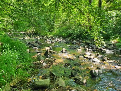 camping Le Chaudebry photo 13