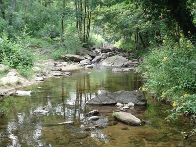 camping Le Chaudebry photo 14