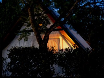 Cliquez pour découvrir toutes les photos de l'HÉBERGEMENT ! hébergement insolite - L'Orangeraie - Paradis photo 7