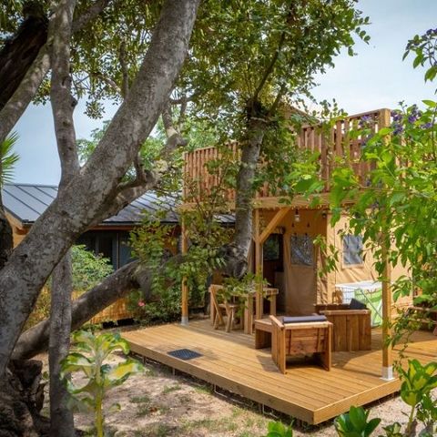Cliquez pour découvrir toutes les photos de l'HÉBERGEMENT ! tente toile et bois - L'Orangeraie - Paradis photo 2
