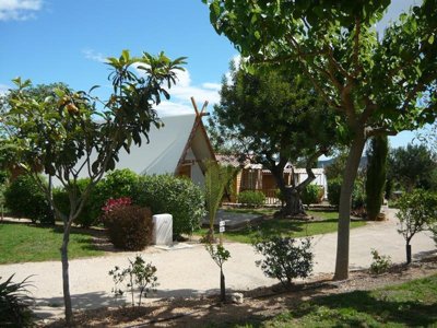 Cliquez pour découvrir toutes les photos de l'ÉTABLISSEMENT ! établissement L'Orangeraie - Paradis photo 23