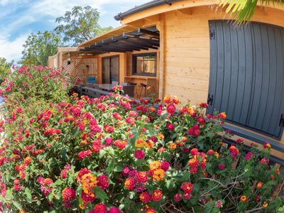 Cliquez pour découvrir toutes les photos de l'ÉTABLISSEMENT ! établissement L'Orangeraie - Paradis photo 24