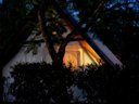 Cliquez pour découvrir toutes les photos de l'HÉBERGEMENT ! hébergement insolite - établissement L'Orangeraie - Paradis photo 7