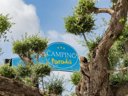 Cliquez pour découvrir toutes les photos de l'ÉTABLISSEMENT ! établissement L'Orangeraie - Paradis photo 5