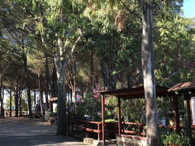 Cliquez pour découvrir toutes les photos de l'ÉTABLISSEMENT ! camping Villaggio Lungomare photo 11