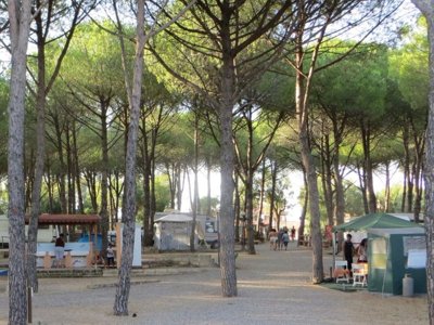 Cliquez pour découvrir toutes les photos de l'ÉTABLISSEMENT ! camping Villaggio Lungomare photo 12