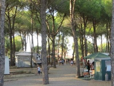 Cliquez pour découvrir toutes les photos de l'ÉTABLISSEMENT ! camping Villaggio Lungomare photo 17