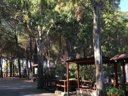 Cliquez pour découvrir toutes les photos de l'ÉTABLISSEMENT ! camping Villaggio Lungomare photo 11