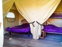 Cliquez pour découvrir toutes les photos de l'HÉBERGEMENT ! tente en toile et bois - camping Flower De L'Olivigne photo 6